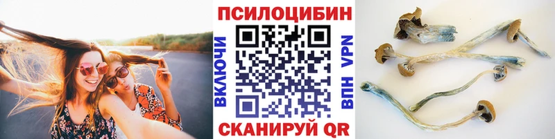 купить наркоту  Грайворон  Галлюциногенные грибы GOLDEN TEACHER 